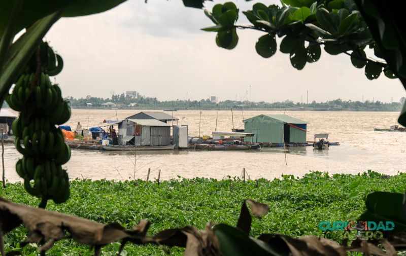 delta del mekong